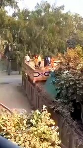 King lion he is a runing find the wild #5lifenature #dogcatattck #lifenatureviral #reviewanimalvideo #leopardattckanimallife #wildattckreview #reelviralvideodog #natureaninalvedeo #dogwildcatlionbird #cutedeerwild | life naturel