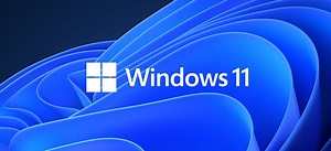 Download Windows 11 PRO - DORADO SYSTEMS®