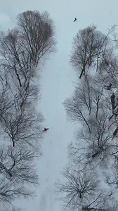 Can you guess the trail? 🤓 | Stratton Mountain Resort