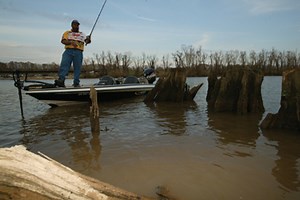 Dion Hibdon’s casting jigs - Major League Fishing
