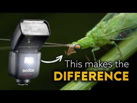 This Flash Changed My Macro Photography at Night – Godox V480 Review