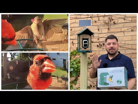 DIY Post Mount for the SOLIOM BF08 Bird Feeder Cam | Setup + First Bird Visitors!