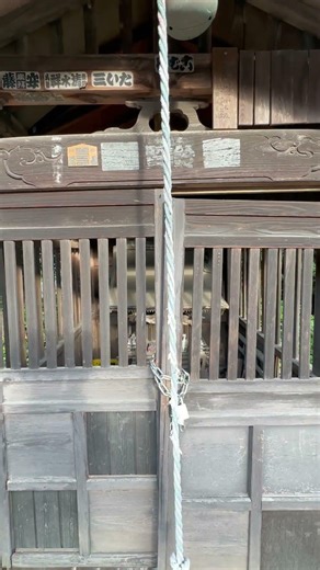 「失くしたものが戻ってくる」 ハタヤの稲荷 （ホッタラケの島の聖地）#遠隔参拝 #開運 #shorts