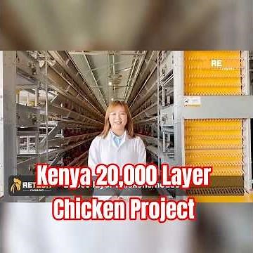 Kenya 20,000 Layer Chicken Project modern poultry farm - RETECH Farming #kenya #agribusiness