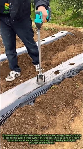Precision Hole Punch Tool Transforms Planting Speed