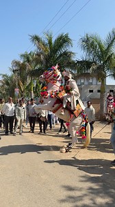 Horse Dance Video - indian wedding video | Indian Animals And Birds