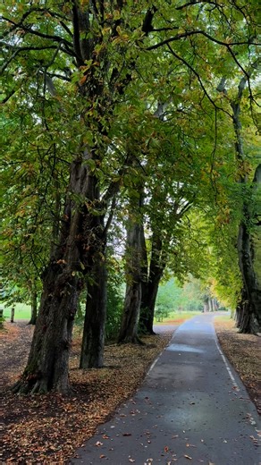 Caldicot Castle is a stone medieval castle in the town of Caldicot, Monmouthshire, in southeast Wales. In the early 13th century (around 1221), Humphrey III de Bohun constructed the first stone keep and curtain walls #caldicotcastle #fblifestyle #beautifuldestinations #autumn #virals | Beauty of the World