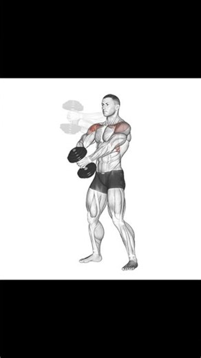 elevacion frontal con mancuerna