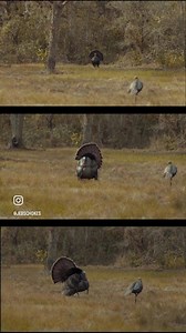 1.6K views · 80 reactions | Stay Strapped This Season. Click the Link ⬇️ To Get Equipped: www.jebschokes.com/choke-tubes/ | JEBS Choke Tubes | Facebook