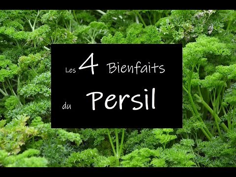 Les 4 bienfaits du Persil