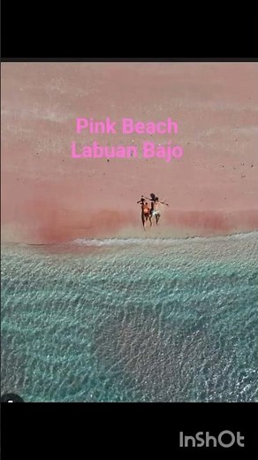 Pretty in Pink 🩷 Pink Beach, Labuan Bajo #indonesia #beach