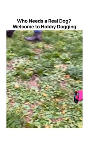 skillmodeon on Instagram: "Ever felt like going for a walk but didn’t want to deal with the shedding or the barking? Say hello to Hobby Dogging, the latest trend taking the internet by storm! 🐕✨ In this video, you’ll see enthusiasts taking their “imaginary” best friends through full agility courses, customized leashes and all. It’s not just about walking; it’s about the craft! From naming their invisible pups to teaching them complex tricks and jumps, these "owners" are dedicated to the sport.