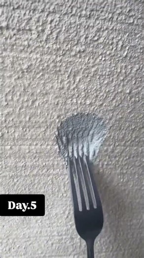 Day 5: EXTREME SPOON SCRATCHING! 🥄🧱 #asmr #satisfying