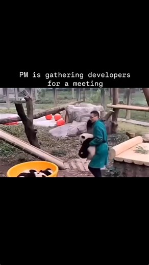 Developer Weirdness | IT humor | PM is gathering developers for a meeting | | | | #webdevelopment #frontend #backend #javascript #typescript #reactjs #nodejs #codinglife... | Instagram