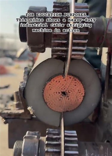 Cable Stripping Machine #shorts #Recycling #Copper #ScrapMetal #IndustrialMachinery #CableStripping