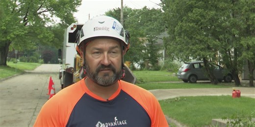 Swift response to tree damage after storms is critical