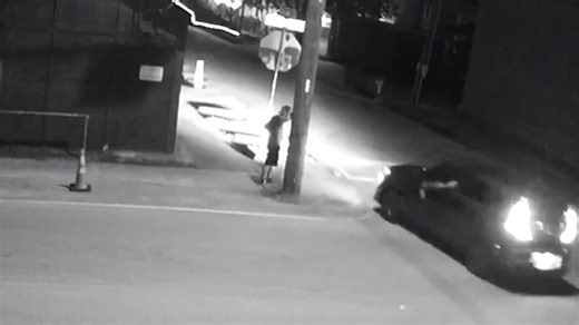 Man gets bear-sprayed in Houston, then is hit by car