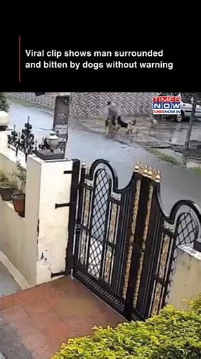 102K views · 536 reactions | A viral video shows a man suddenly attacked and bitten by stray dogs, raising serious public safety concerns. The sudden incident has raised concerns among locals about the growing threat of stray dog attacks in urban areas. [Viral Video, Stray dogs] #NewsWithTN | TIMES NOW | Facebook