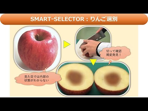 SMARTｰSELECTOR【Vol.3】：りんご褐変編 青果物 選別機、選果機、光センサ、サイズセンサを搭載