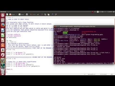 How to create a child process with fork in linux