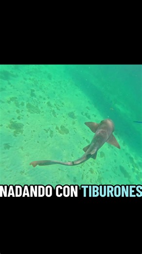 Explore Cabocatoche: A Snorkeling Paradise in Holbox