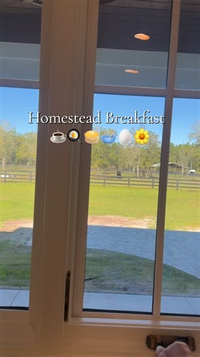Real life breakfast time on our farm, happy November 1st friends 🍂🍁🦃 #halefamilyhomestead #farmlife #asmr #homemaker #homestead | Hale Family Homestead