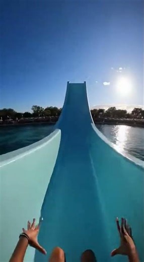 Slide down into the pool teeming with giant sea creatures #funny #memes