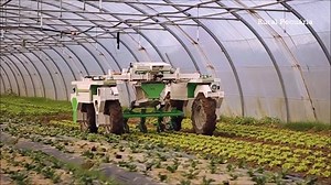 15K views · 238 reactions | Robô Cultivador Naïo Technologies | Rural Pecuária | Facebook