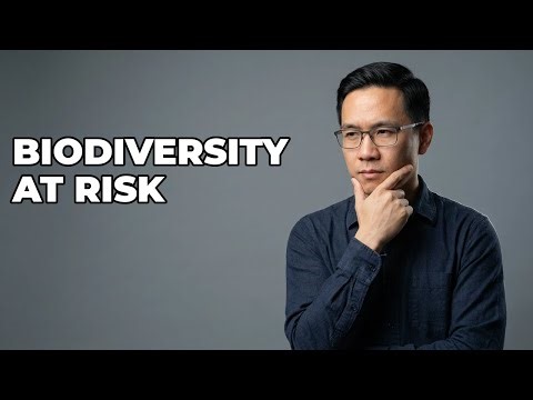 Can Dioxin Contamination Halt Biodiversity Patterns?