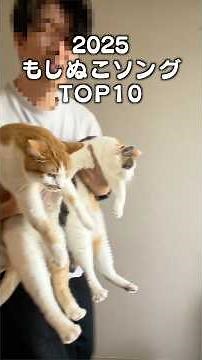 Top 10 Cat Songs
