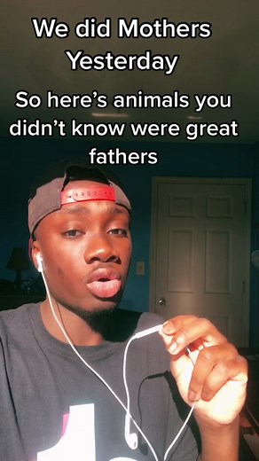 Fatherhood in Nature: Surprising Animal Dads