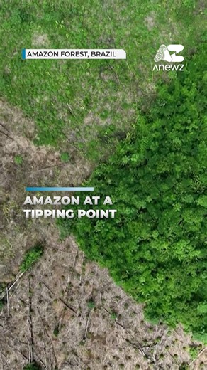 AnewZ | Global attention turned to the #Amazon, often called the lungs of the #Earth. The fate of the Amazon River is inseparably linked to the... | Instagram