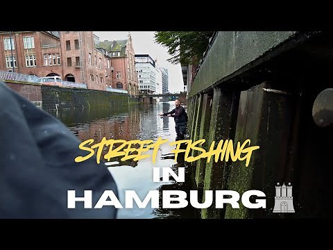 🎣 Street fishing in Hamburg – perch directly from the city