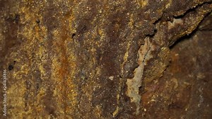 Uranium ore in a uranium mine. Rock containing uranium and barite.