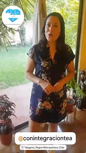 💙Fundación con Integración TEA 🌏Av. Balmaceda 7560 Talagante ☎ 569 5642 2965 El ADOS-2 Escala de Observación para el Diagnóstico del Autismo. Es una prueba que evalúa el comportamiento de personas con sospecha de autismo. Se utiliza para diagnosticar el Trastorno del Espectro Autista (TEA) Es una prueba semiestructurada y estandarizada. Se puede aplicar a bebes desde 12 meses de edad hasta personas adulta. Se divide en 5 módulos, cada uno, para una edad y nivel de lenguaje. Mide: ✅la comunicac