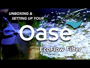 Unboxing and Setting Up Your OASE EcoFlow Internal Filter