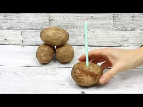 Potato Straw Experiment: Air Pressure and Force