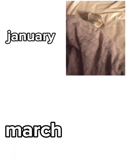 Celebrating School Prom and Graduation Moments