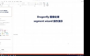 Dragonfly介绍与人工智能分割向导演示 by Yang Huifang