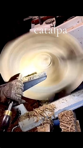 Vidéos de XB Fecit (@boisdebonpapa) avec Victory - Instrumental - Two Steps From Hell & Thomas Bergersen