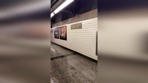 Leaky ceiling spotted in New York subway
