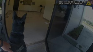 4.2K views · 216 reactions | The Pinellas Park Police Department is proud to announce the rollout of the Axon body worn camera system. Our agency is continually striving to provide transparency to the citizens we serve. | Pinellas Park Police Department | Facebook