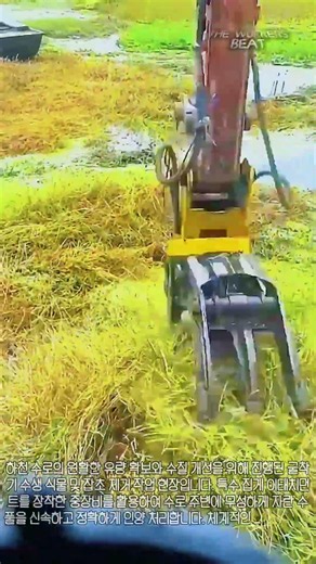 수로 정비의 핵심, 굴착기 특수 그랩을 활용한 수생 식물 및 잡초 제거 공정 #worker #process #excavator #dredging #riverclean