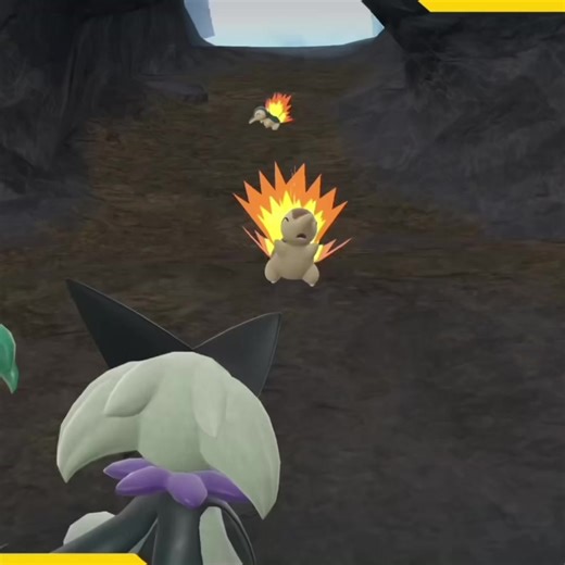 Shiny Hunting for Cyndaquil in Pokémon Scarlet and Violet