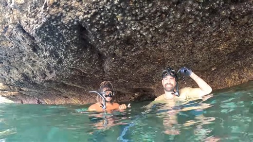 Stranded in a hidden jungle where crocodiles still roam