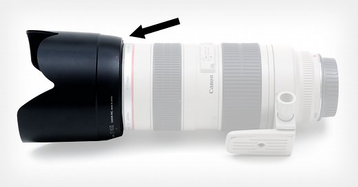 Lens Hoods: Why, When, and How to Use One in Photography