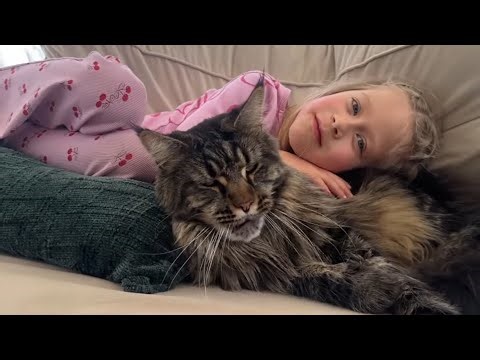 Their Bond Is Precious! Giant Cat Loves Little Girl!! (Cutest Ever!!)