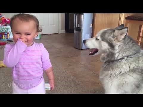 Les enfants jouant avec et les différents animaux drôles