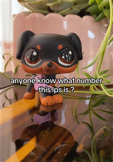 LPS Rottweiler Search - Need Help Identifying Toy