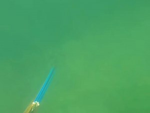 spearfishing big grouper fish | Fishing Videos